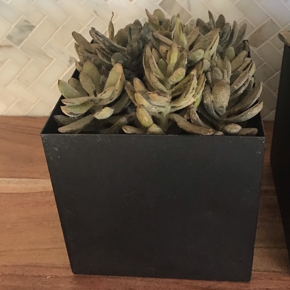 Three Faux Succulents In Distressed Metal Planters - Picture 3 of 6